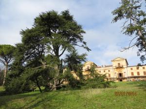 Villa Simonetti - Giardino
