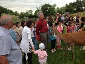 Villa Santa Paolina - Zoo Safari